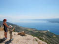 Bol Holidays: Villa Nera und Villa Lara - Apartments und Ferienhäuser in Bol auf der Insel Brač Bol